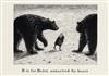 GOREY, EDWARD. THE GASHLYCRUMB TINIES. POSTCARD SET.